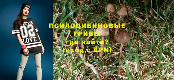 шишки Навашино