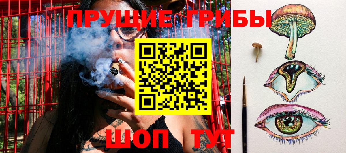 Галлюциногенные грибы Psilocybine cubensis Азов