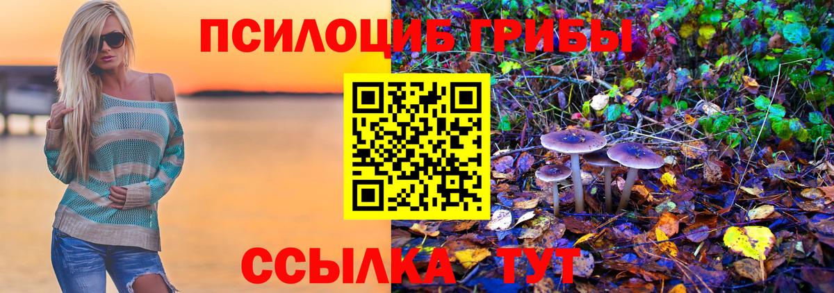 Галлюциногенные грибы GOLDEN TEACHER  Вход с VPN  цены   Азов 